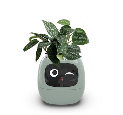 Smart Flowerpots, Smart Pet Planter, Ai Planter, Intelligent Flowerpots, Multiple Expressions,7 Smart Sensors, and Ai Chips Make Raising Plants Easy and Fun for Living Room